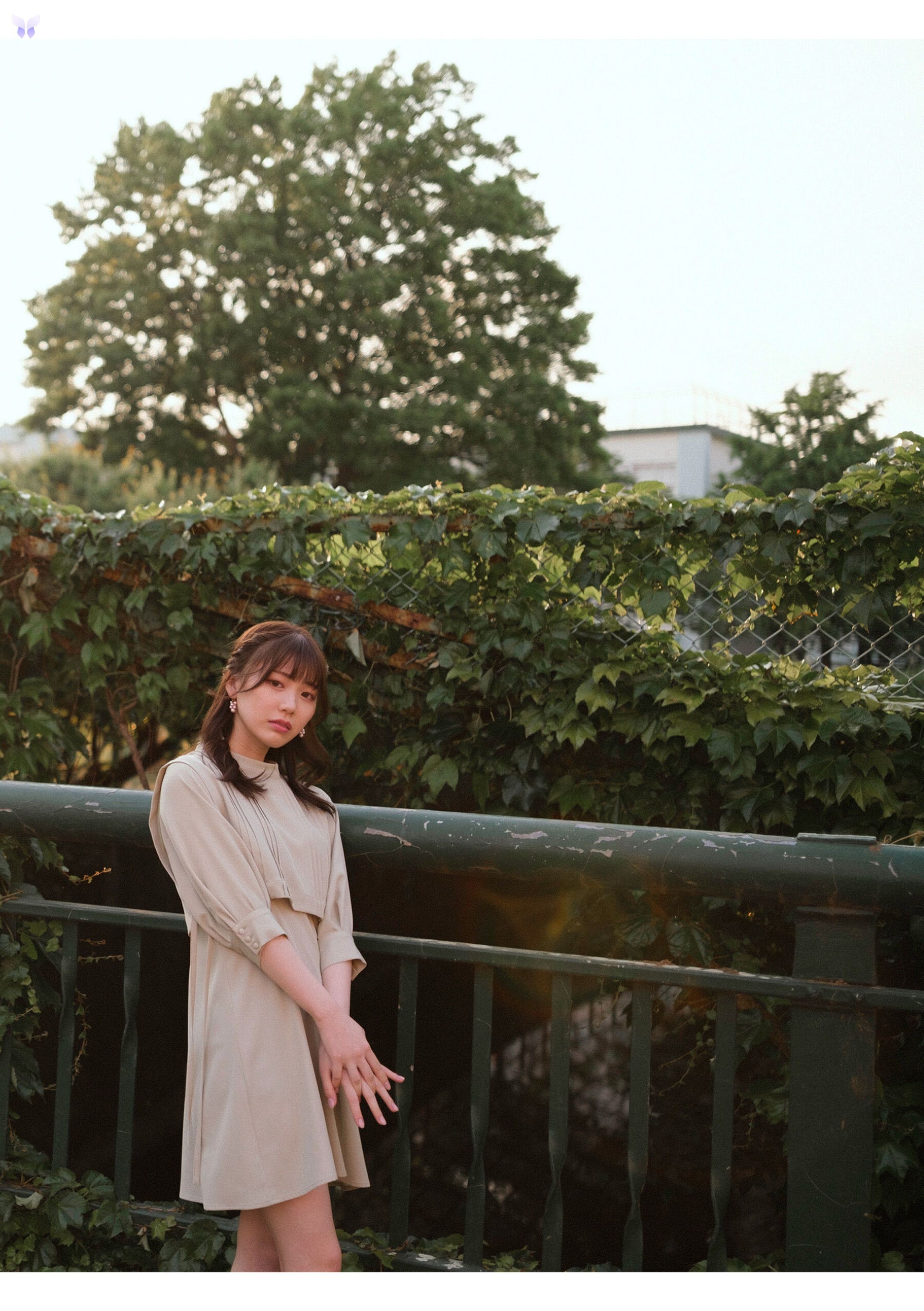 Mio Ishikawa 石川澪 – とられち 186P 第5张图