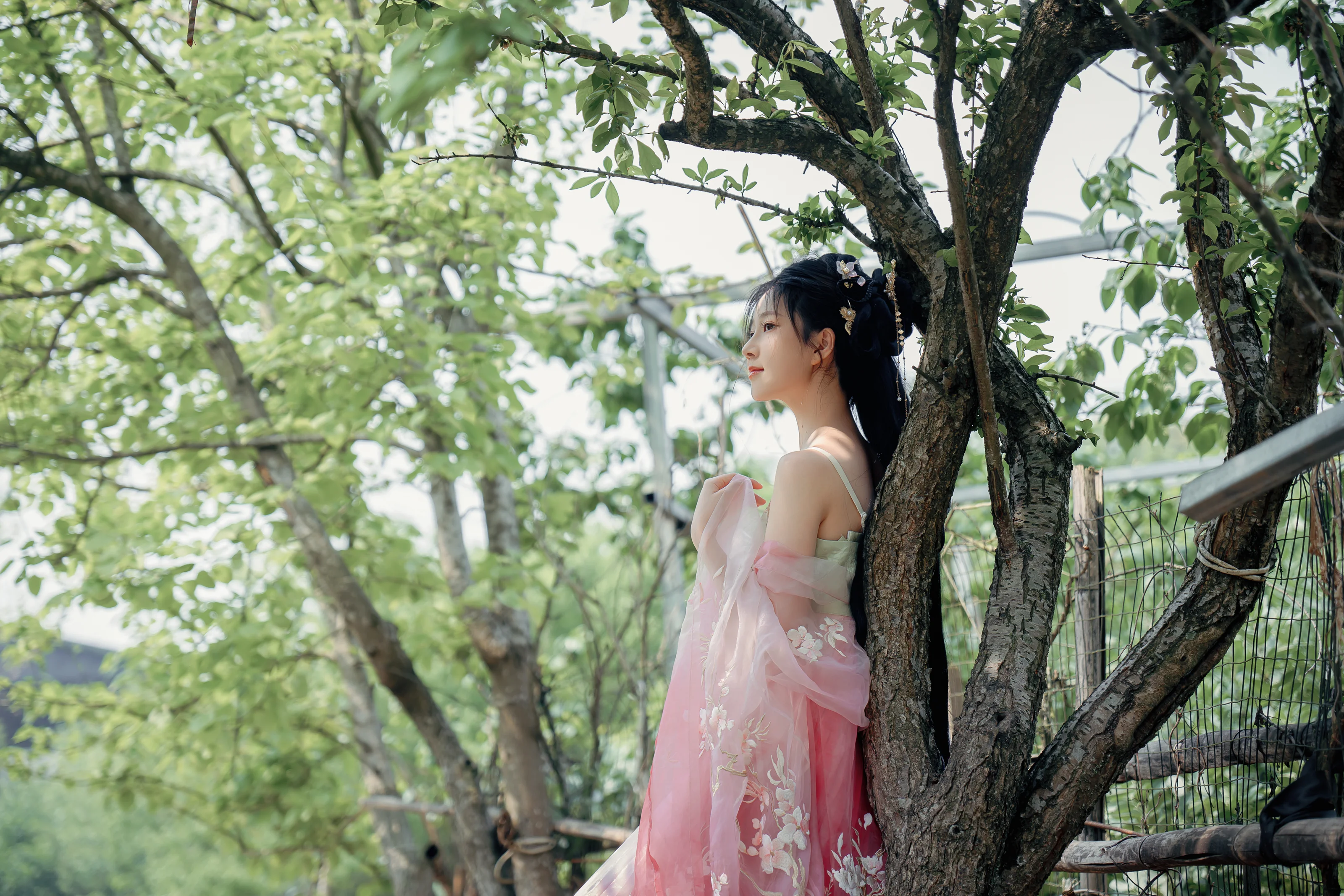 年年Nnian – 海棠仙 84P 第12张图