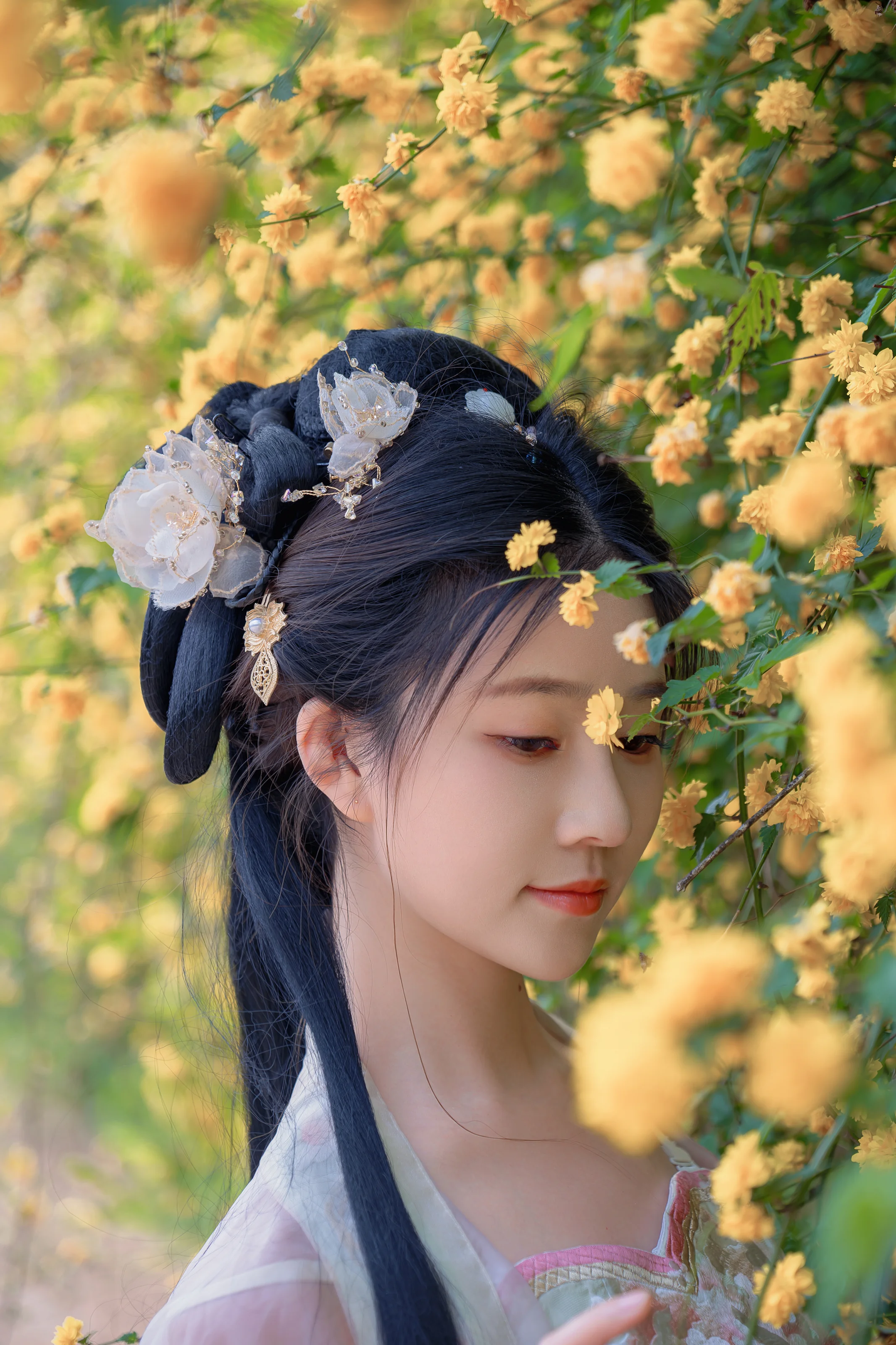 年年Nnian – 海棠仙 84P 第5张图