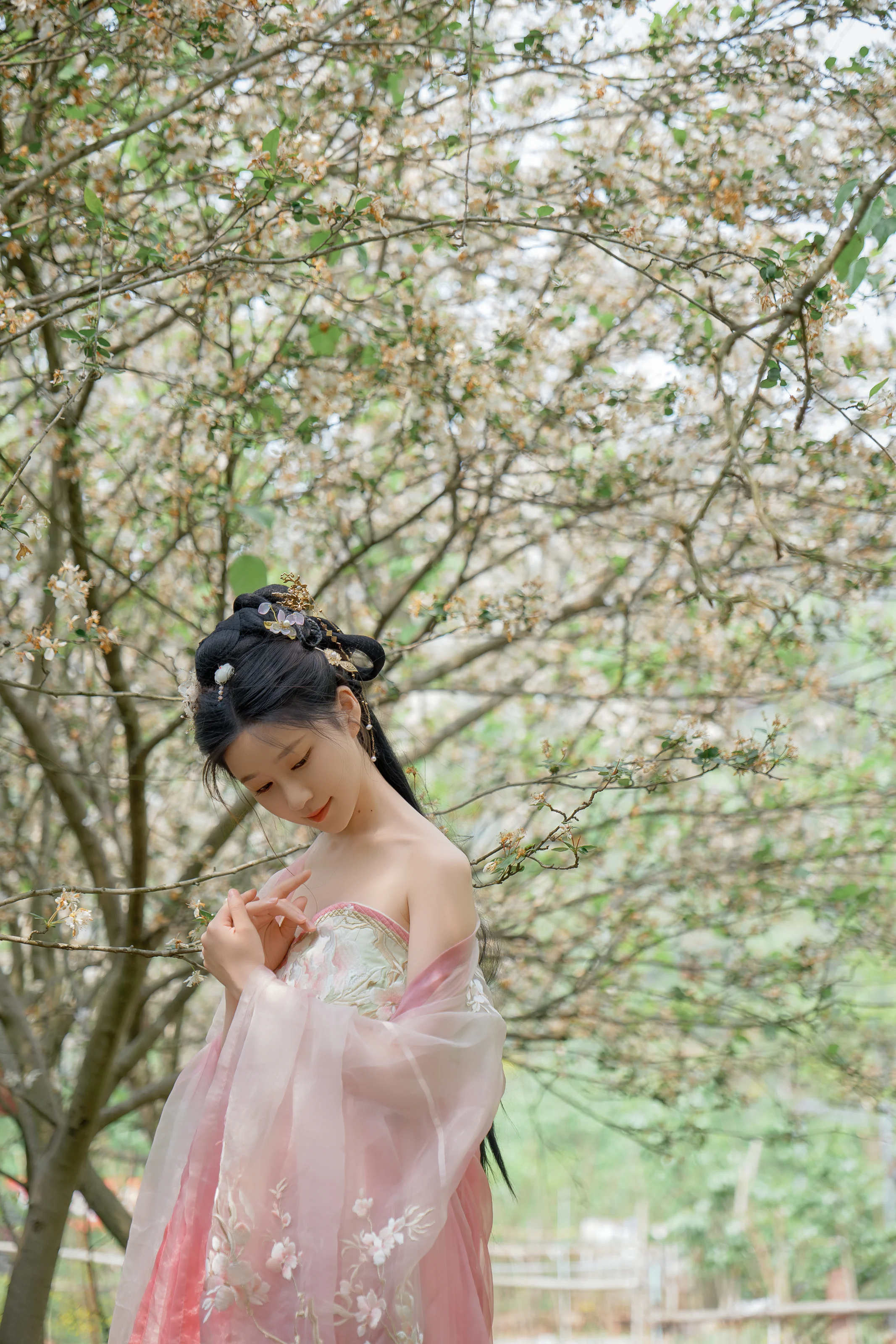 年年Nnian – 海棠仙 84P 第64张图